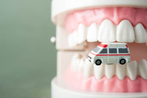 Model of teeth and miniature ambulance